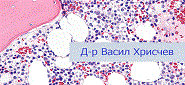 Д-р Васил Хрисчев